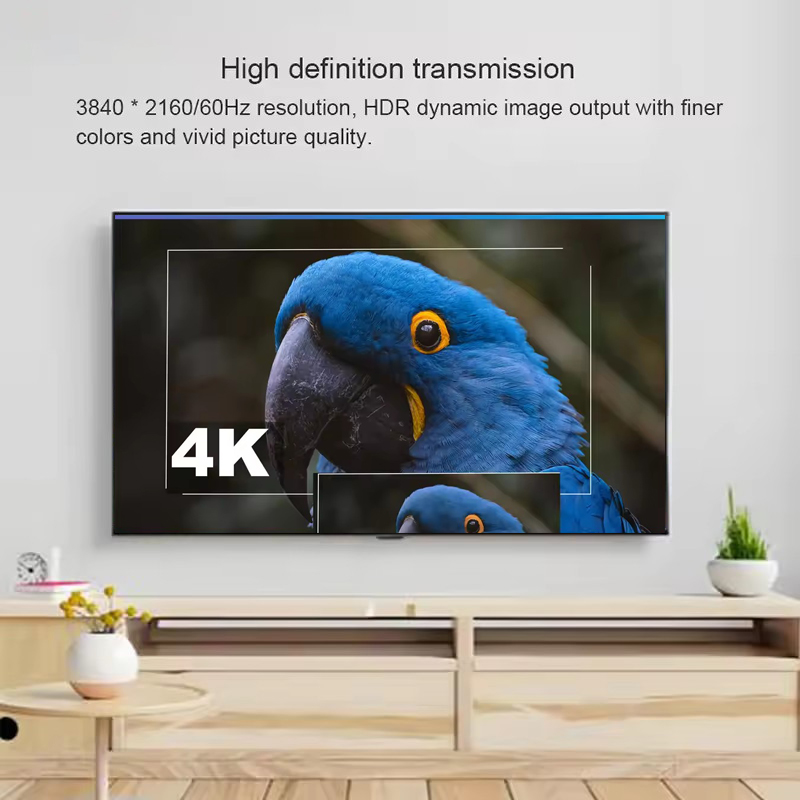 4K 60Hz DisplayPort-zu-HDMI-Ex – Hdmi Cable Bewertung und Preis